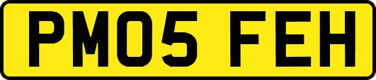 PM05FEH