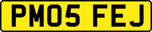 PM05FEJ