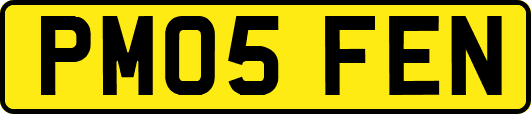 PM05FEN