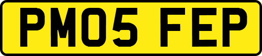 PM05FEP