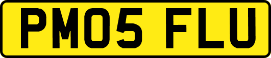 PM05FLU
