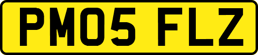 PM05FLZ