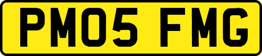PM05FMG