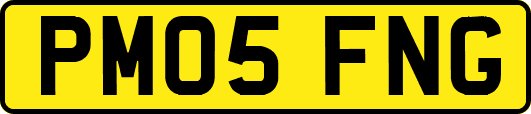 PM05FNG