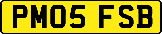 PM05FSB