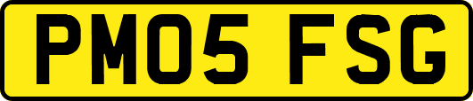 PM05FSG