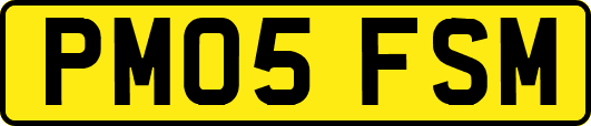PM05FSM