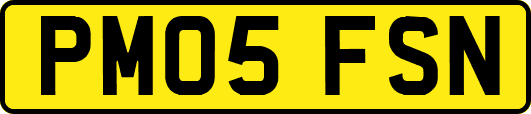 PM05FSN