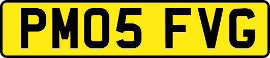 PM05FVG