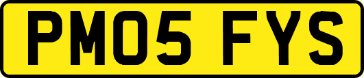 PM05FYS