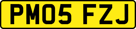 PM05FZJ