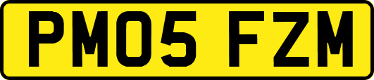 PM05FZM