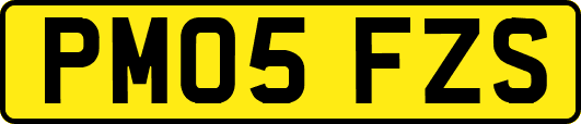 PM05FZS
