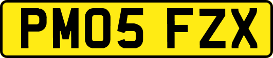 PM05FZX