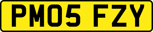 PM05FZY