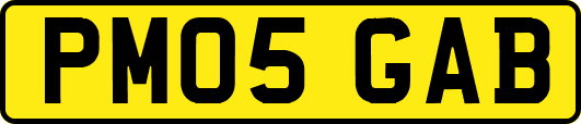 PM05GAB