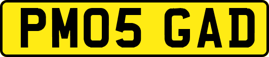 PM05GAD