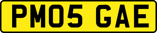 PM05GAE