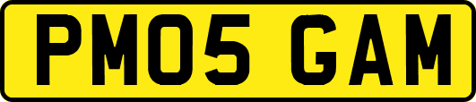 PM05GAM
