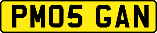 PM05GAN