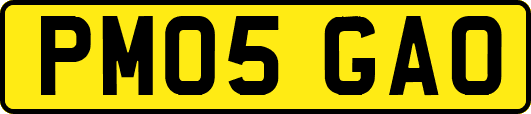 PM05GAO