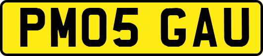 PM05GAU