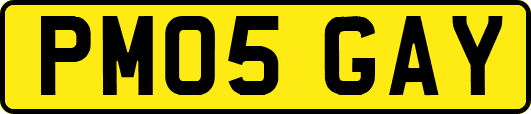 PM05GAY