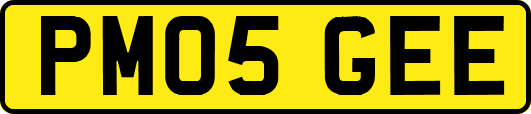 PM05GEE