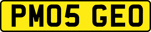 PM05GEO