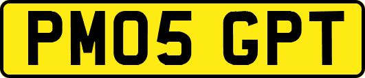 PM05GPT
