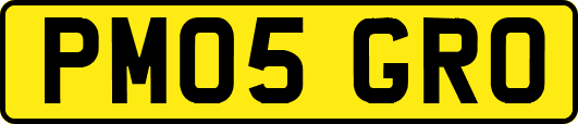 PM05GRO