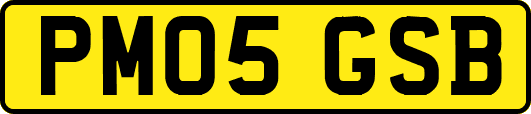 PM05GSB