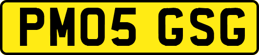 PM05GSG