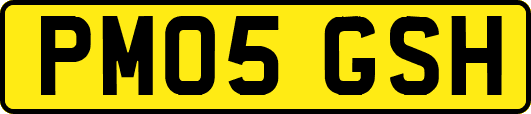 PM05GSH