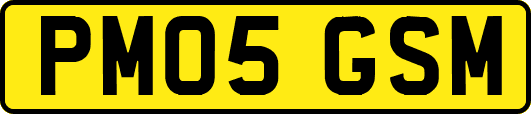 PM05GSM