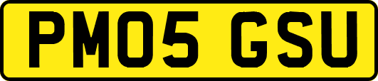 PM05GSU