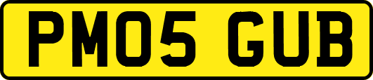 PM05GUB