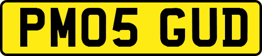 PM05GUD