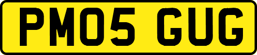 PM05GUG