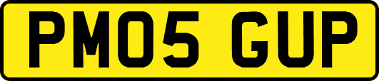 PM05GUP