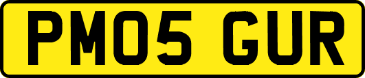PM05GUR