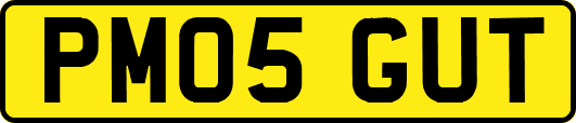 PM05GUT
