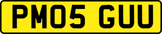 PM05GUU