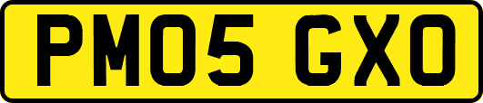 PM05GXO