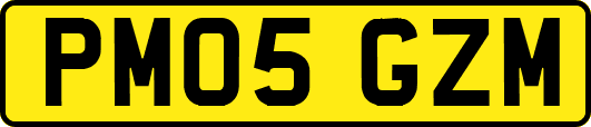 PM05GZM