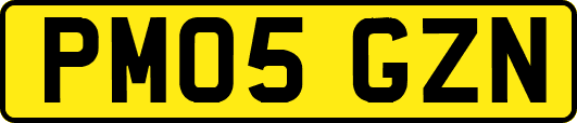 PM05GZN