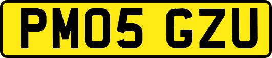 PM05GZU