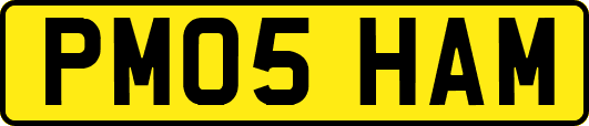 PM05HAM