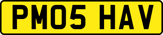 PM05HAV