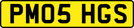 PM05HGS